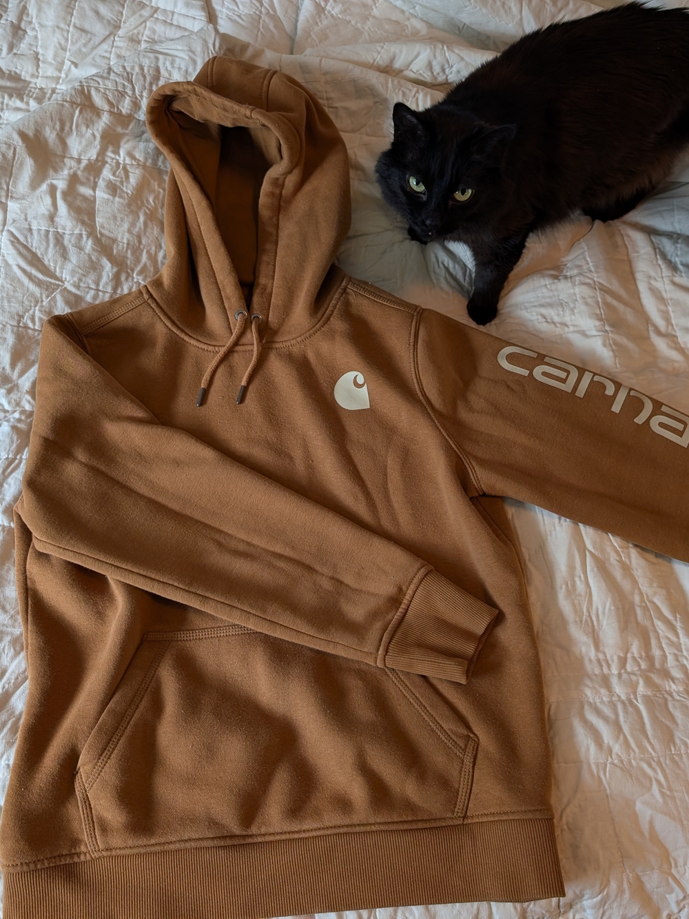 Carhartt Brown Hoodie with Logo
